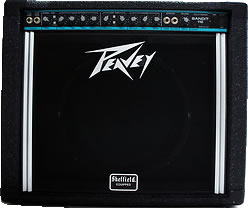 Peavey Bandit 112